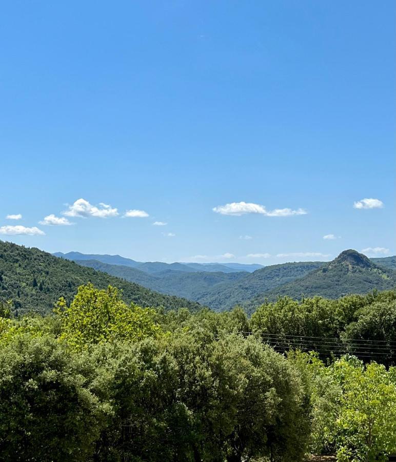 Panthoron Tzoumerka Vourgareli Exteriér fotografie