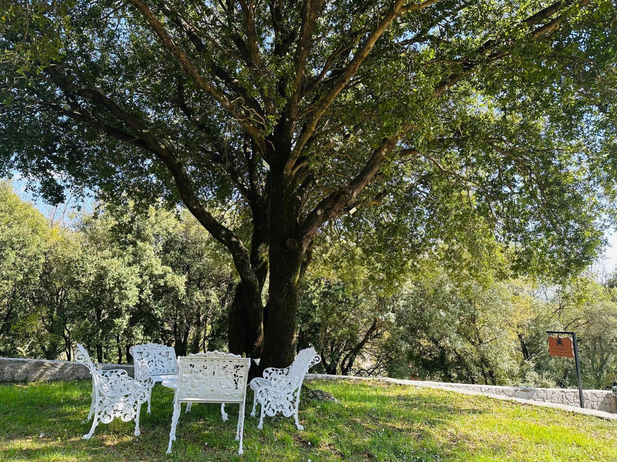 Panthoron Tzoumerka Vourgareli Exteriér fotografie